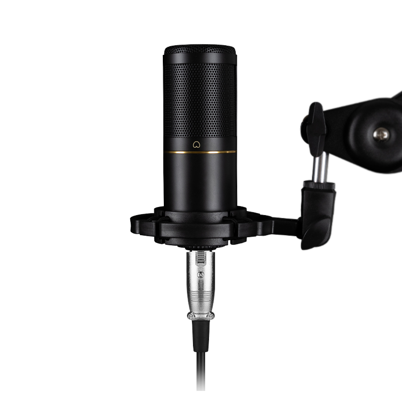 Xlr Microphone Condenser - Профессиональный конденсаторный микрофон XLR для студийной