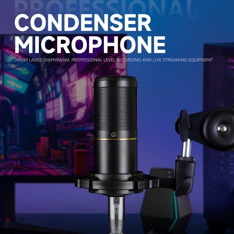 Профессиональный конденсаторны – обзор и цена Xlr Microphone Condenser