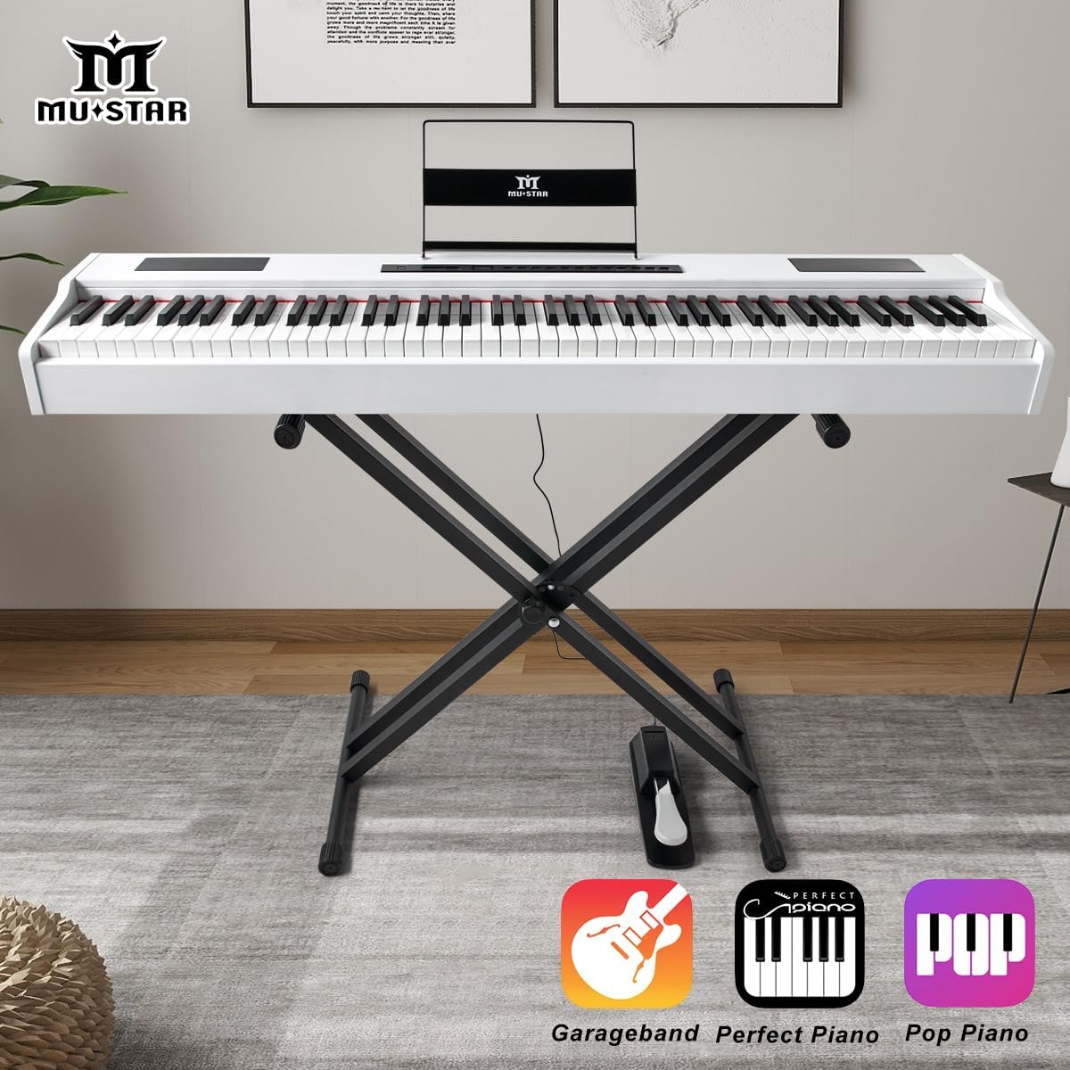 Цифровое пианино MUSTAR с 88 к – обзор и цена Piano Sustain Pedal